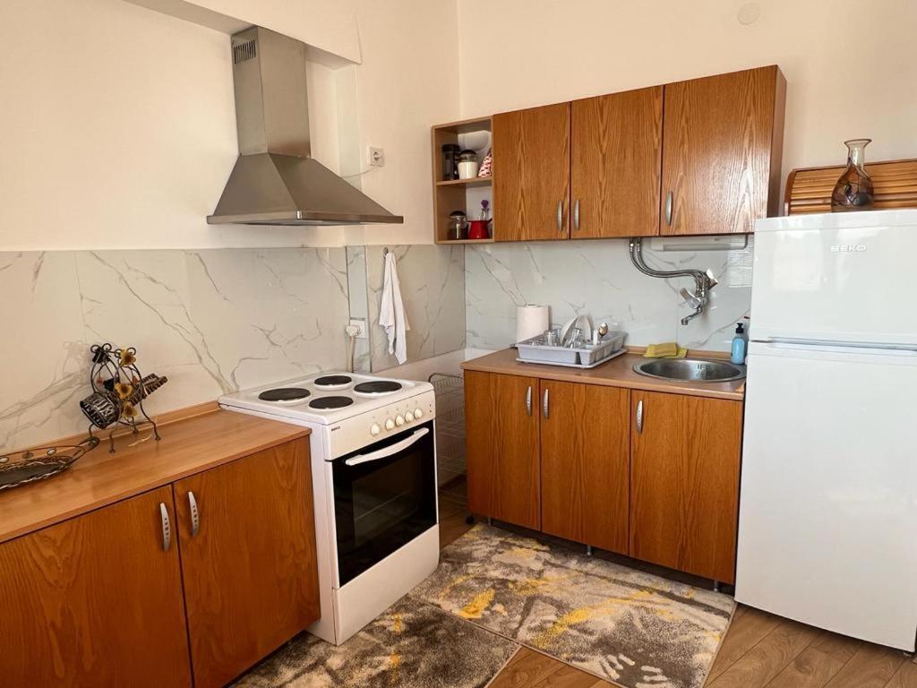 Vik Appartement Skopje